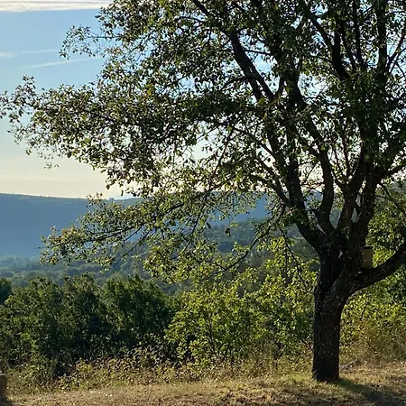 Dependance Neuve Et Lumineuse Au Coeur Du Luberon Nyaraló *